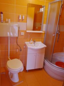 une salle de bains avec toilettes, lavabo et douche dans l'établissement Apartments Velo, à Veli Lošinj 17 autres photos