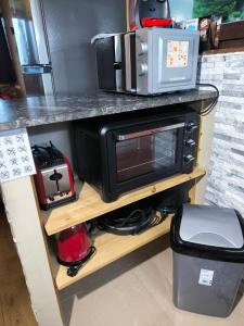 a microwave oven sitting on a shelf in a kitchen at la bulle des sapins in La Bresse +13 photos