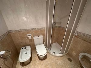 a bathroom with a toilet and a shower and a sink at La Luna 2 in Oviedo