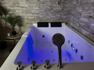 une grande baignoire violette dans une pièce dans l'établissement Pentagone 1 SPA PRIVE, à Reims