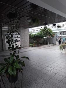 un patio avec une plante au milieu d'un bâtiment dans l'établissement Coração da Ocian, à Praia Grande