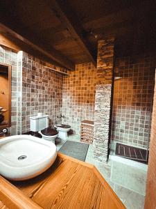 a bathroom with a sink and two toilets in it at Aguilhões River House in Pedorido +7 photos