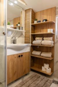 a bathroom with a sink and a shower at Apartmani Skadarlija Valjevo in Valjevo