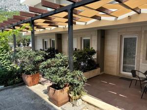 Zahrada ubytování Apartments Adria