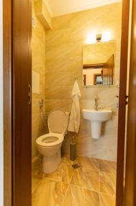 a bathroom with a toilet and a sink at Swan Bay complex in Chernomorets