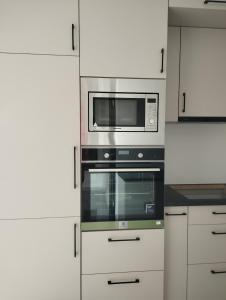 Kuchyňa alebo kuchynka v ubytovaní Híd Köz Penthouses Apartman
