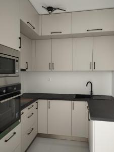 Kuchyňa alebo kuchynka v ubytovaní Híd Köz Penthouses Apartman