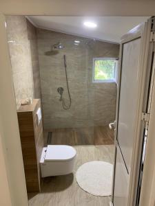 a bathroom with a shower with a toilet and a glass shower door at Kućica Bojana in Budva +18 photos