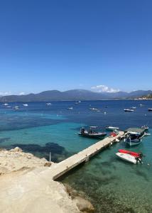 a group of boats in the water near a dock at HOTEL CAMPOMORO in Belvédère-Campomoro