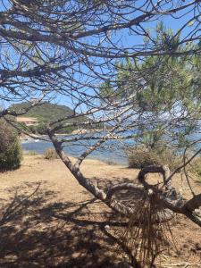 a bike parked on a sandy beach near the water at HOTEL CAMPOMORO in Belvédère-Campomoro
