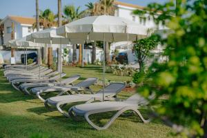 Jardin de l'établissement Lordos Beach Hotel & Spa