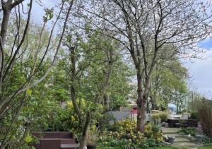Bed and breakfast private accommodation at Amsterdam Houseboat外面的花园