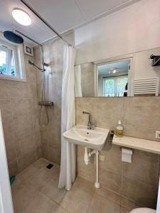 a bathroom with a sink and a shower at Vakantiehuis Flori in Bergen