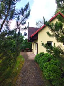 Vonkajšia záhrada v ubytovaní Domek letniskowy Arkady