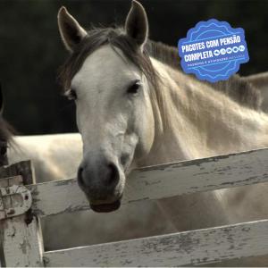 a white horse is looking over a fence at GoldMen Hotel Fazenda Guarapuava in Guarapuava