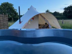 蒂克纳尔Broadleaves Luxury Glamping的相册照片