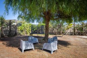 three chairs sitting under a tree with a basketball hoop at Villa Tosca dell'Angelo con piscina in Comiso