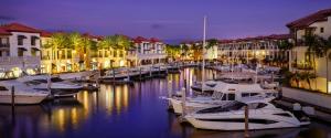 a group of boats docked in a marina at night at Naples Bay Resort and Marina in Naples