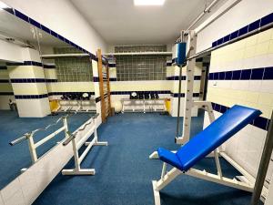 Fitness centrum a/nebo fitness zařízení v ubytování Horský Hotel Podjavorník
