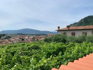 a view of a field of green crops at Antica trave in Provaglio d'Iseo