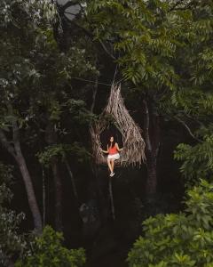 Khách lưu trú tại Treehouse Chalets - Luxury getaway within a short distance of Ella