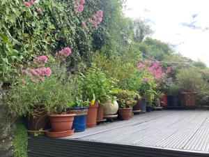 Gallery image of Stable Cottage - Braunton - sleeps 4 - Pet Allowed in Braunton