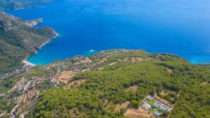 Φυσικό τοπίο κοντά σε αυτή η βίλα +46 φωτογραφίες