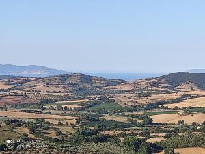 Φυσικό τοπίο κοντά σε αυτό το διαμέρισμα +7 φωτογραφίες