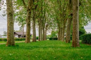 Zahrada ubytování Camping Onlycamp Longue Rives