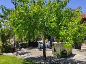 Foto dalla galleria di Angel's Heaven a Sikia