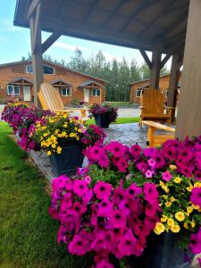 Zahrada ubytování Alaska Country Inn