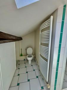 a bathroom with a toilet and a shower at Grande Maison Clermont Ferrand in Clermont-Ferrand +5 photos