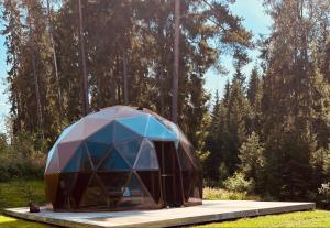 a tent in a field with trees in the background at Miško Perlas in Buožėnai