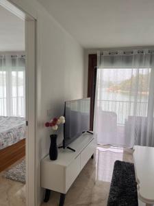 TV a/nebo společenská místnost v ubytování Apartman EM