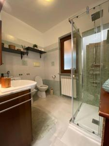 a bathroom with a shower and a toilet and a sink at La casa nel bosco in Bussoleno