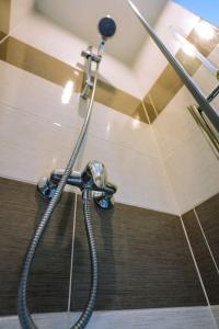 y baño con ducha y manguera. en Appartement La Gare Viotte, en Besançon