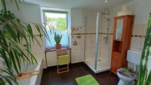a bathroom with a shower and a toilet at Urlaub mit Charme in der kleinsten Stadt der Pfalz. in Obermoschel +54 photos