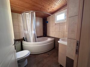 a bathroom with a tub and a toilet and a sink at Villa Mihaila in Ofrínion +57 photos