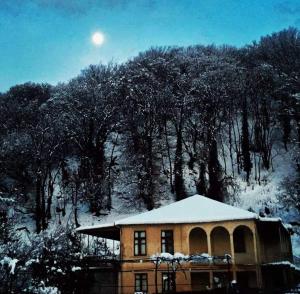 Ezo during the winter