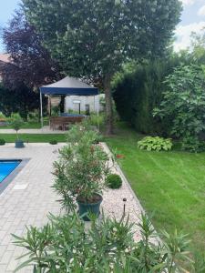 Vonkajšia záhrada v ubytovaní Studio apartmen