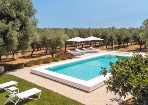einen Pool auf einem Feld mit Stühlen und Bäumen in der Unterkunft Masseria Pensato - Exclusive Lodges with Private Pool in Savelletri di Fasano