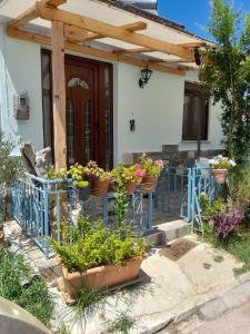 Vonkajšia záhrada v ubytovaní BACI HOUSE