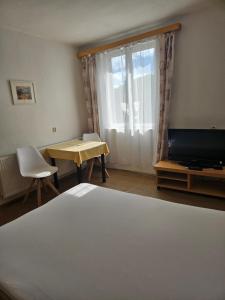 TV a/nebo společenská místnost v ubytování Levné ubytování Železná Ruda