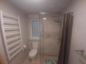 a bathroom with a toilet and a glass shower at Osada Szwedzka Domek Plus in Rusinowo +12 photos