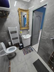 Koupelna v ubytování Casa Vadim