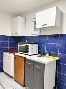 Kuchyň nebo kuchyňský kout v ubytování Apartman Sava