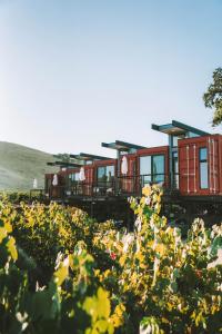 a row of train cars in a field of flowers at Geneseo Inn in Paso Robles