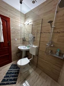 a bathroom with a shower and a toilet and a sink at Casa cu brazi in Porumbacu de Sus
