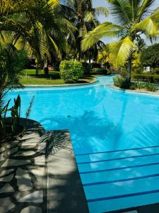 a large blue swimming pool with palm trees at Cape Garden Studio in Cap Malheureux +5 photos