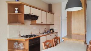 Kuchyňa alebo kuchynka v ubytovaní Apartament El Pla + 9 fotografií